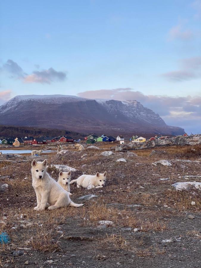 Hotel Disko Island Qeqertarsuaq Dış mekan fotoğraf